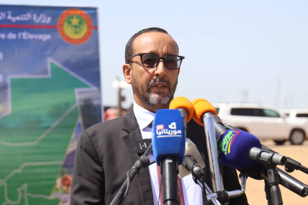 الثروة الحيوانية: إطلاق "الأيام الوطنية للثروة الحيوانية"