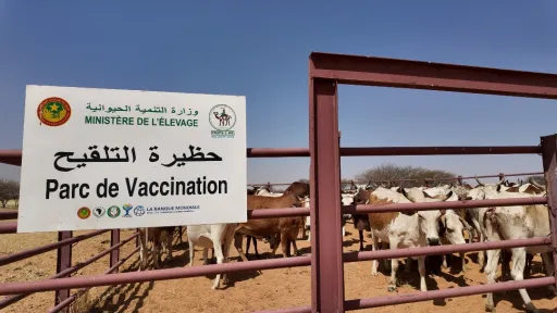 تحسين الصحة الحيوانية: شلخة تتوفر على حظيرتها (الجديدة) للتطعيم