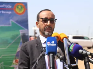 الثروة الحيوانية: إطلاق "الأيام الوطنية للثروة الحيوانية"