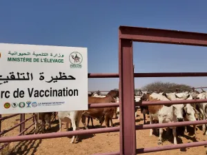 تحسين الصحة الحيوانية: شلخة تتوفر على حظيرتها (الجديدة) للتطعيم