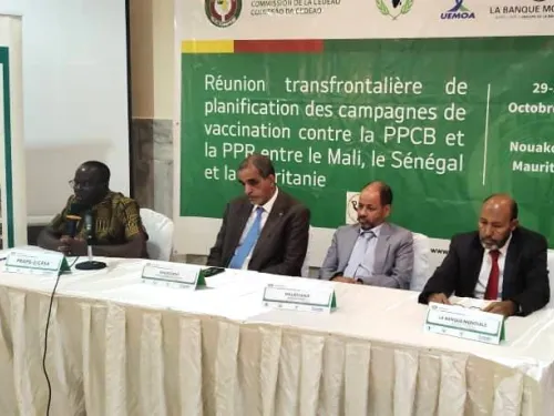 الاجتماع الحدودي للتخطيط لحملات التلقيح ضد مرضَي التهاب الجلد العقدي  وطاعون المجترات الصغيرة  بين مالي والسنغال وموريتانيا