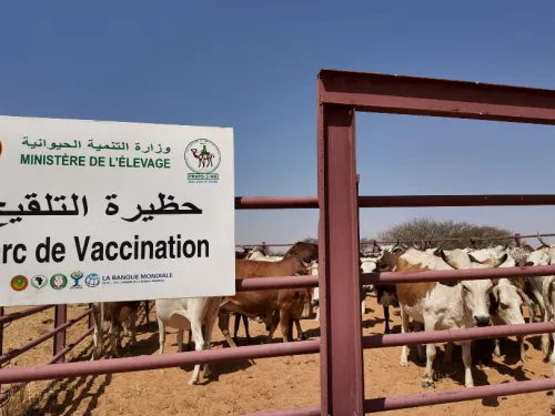 تحسين الصحة الحيوانية: شلخة تتوفر على حظيرتها (الجديدة) للتطعيم