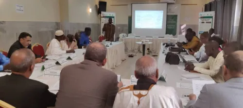 نواكشوط &ndash; موريتانيا من 29 إلى 31 أكتوبر 2025 مشروع PRAPS-2 / تحسين الصحة الحيوانية: انطلاق لقاء تخطيط حملات التلقيح بين الدول الحدودية (موريتانيا، مالي، والسنغال) في نواكشوط.. انطلقت صباح اليوم في نواكشوط أعمال لقاء مخصص لتخطيط حملات التلقيح ضد الأمراض الحيوانية العابرة للحدود، وذلك بحضور مدير إدارة الخدمات البيطرية بوزارة التنمية الحيوانية في موريتانيا، وممثل المركز الإقليمي للصحة الحيوانية التابع للمجموعة الاقتصادية لدول غرب إفريقيا (الإيكواس)، والمنسق الوطني المكلّف مؤقتاً بمشروع PRAPS-2 &ndash; موريتانيا، إضا