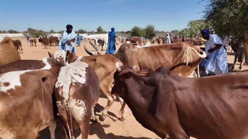  Short description of the image used by